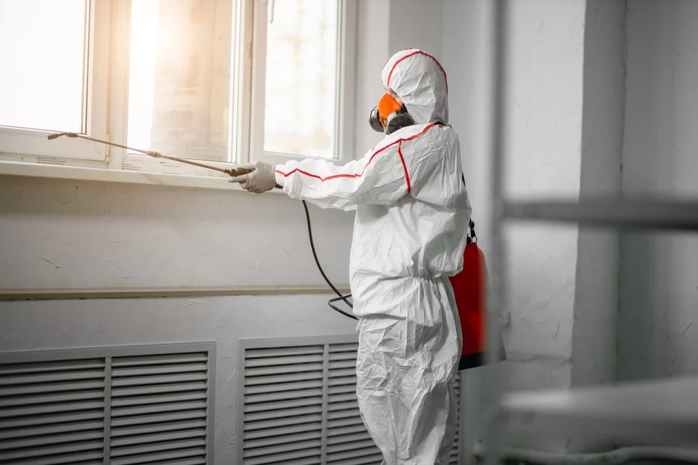 Professional mold remediation services in Clio, MI